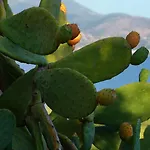 Διαμέρισμα Remenata